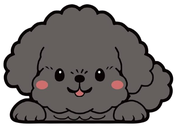 Poodle illustration